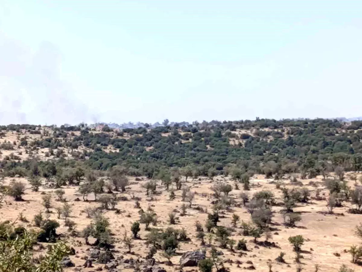 Manisa'da Makilik Alanda Yangın Kontrol Altına Alındı