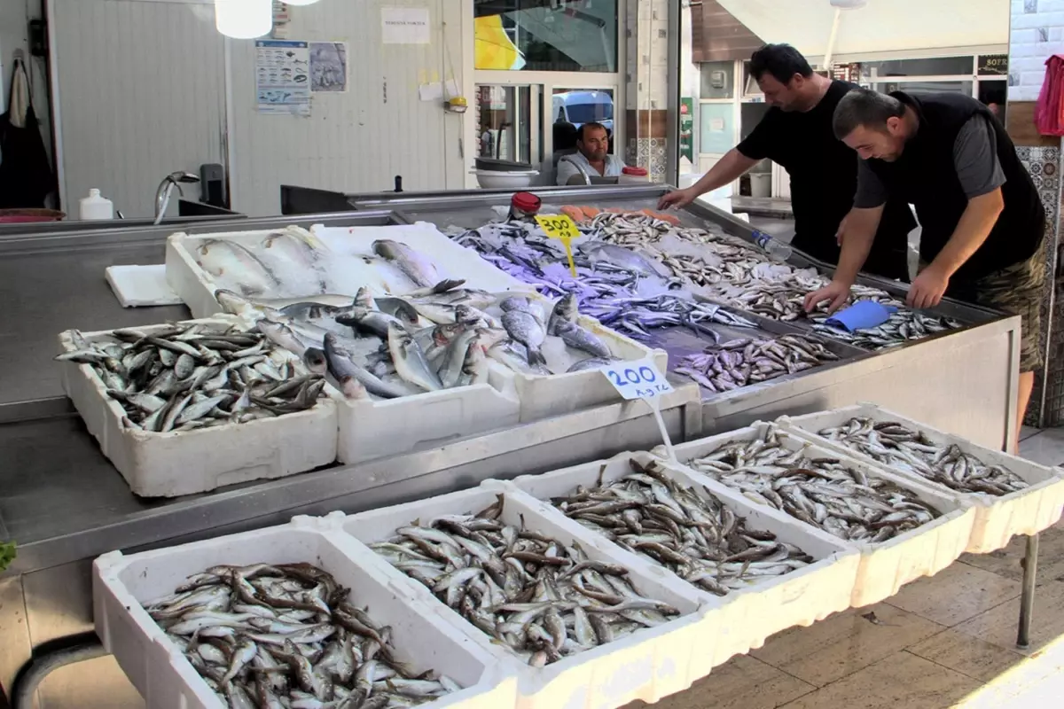 Palamutun yerini mezgit ve barbun aldı, balık fiyatları cep yaktı