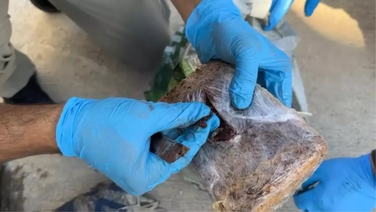 Kocaeli'de Yolcu Otobüsünde 6.7 Kilogram Eroin Ele Geçirildi