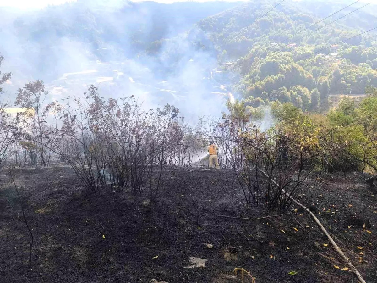 Zonguldak'ta Ormanlık Alanda Örtü Yangını Kontrol Altına Alındı