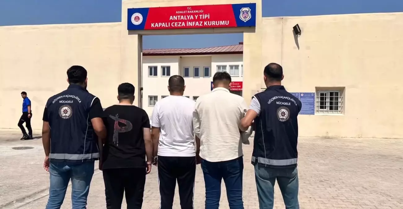 81 İl'de Eş Zamanlı Göçmen Kaçakçılığı Operasyonu