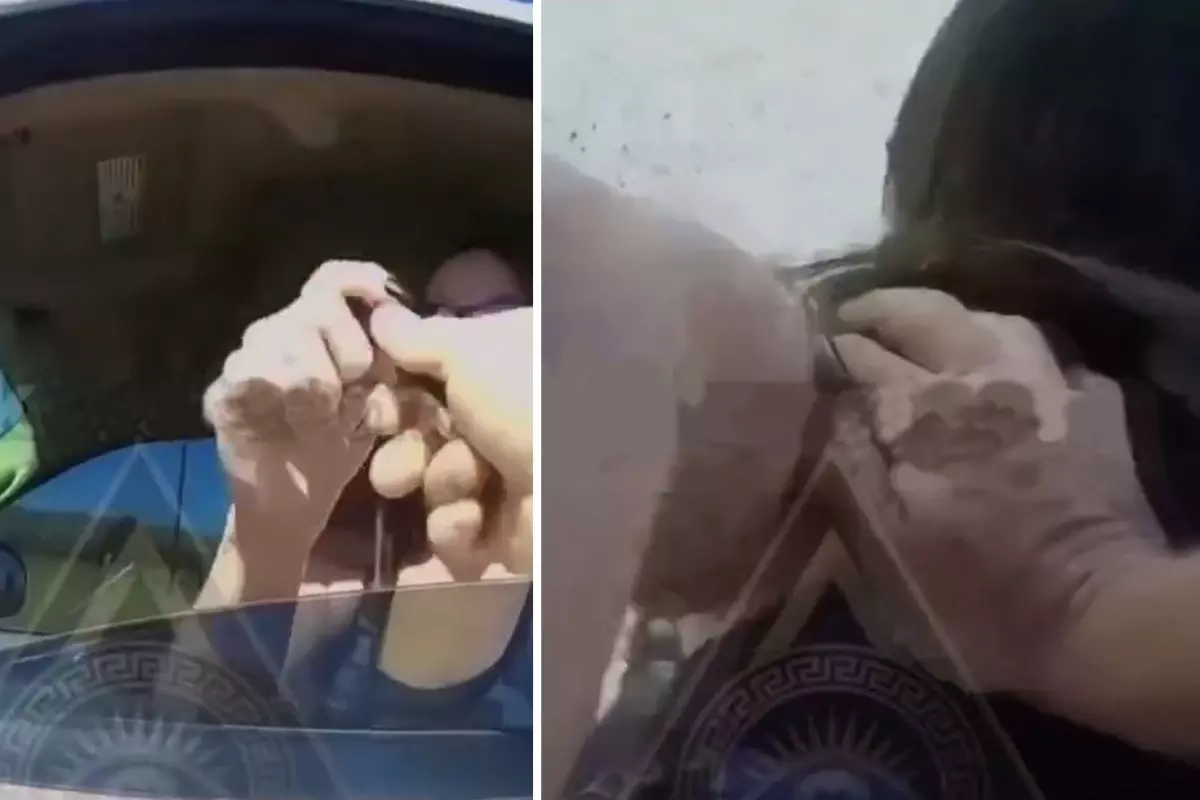 Kalemi polise fırlatan kadın, bedelini ağır ödedi