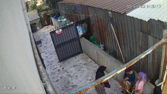 Bahçede bir garip görüntü! Kıyafetlerini böyle değiştirdiler
