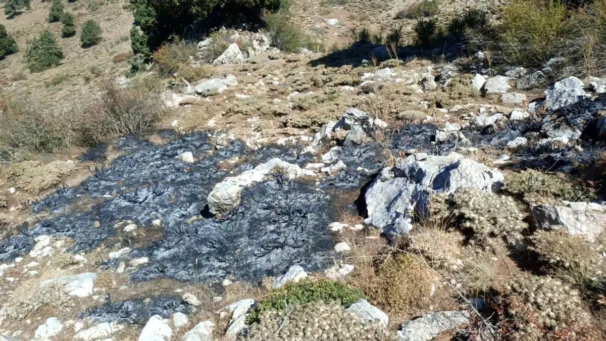 Burdur'da Çırkıcak Dağında Yangın Çıktı
