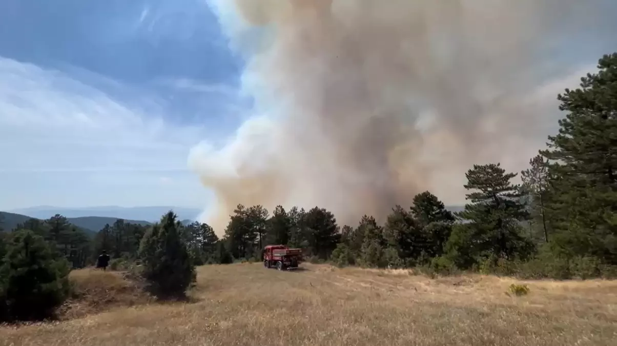 Bursa'da Orman Yangınına Hava ve Karadan Müdahale