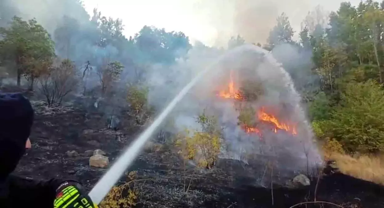Hakkari'de 3 farklı bölgede çıkan yangın itfaiye ekiplerince söndürüldü