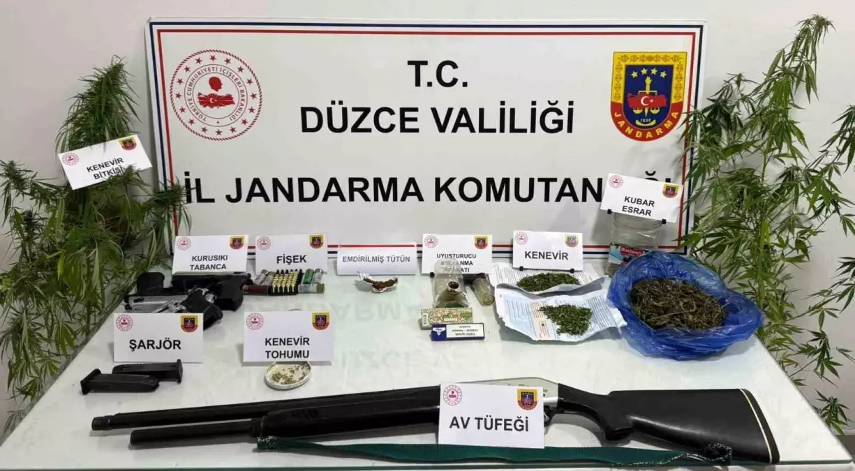 Düzce'de Yasa Dışı Kenevir Üretimi Soruşturması