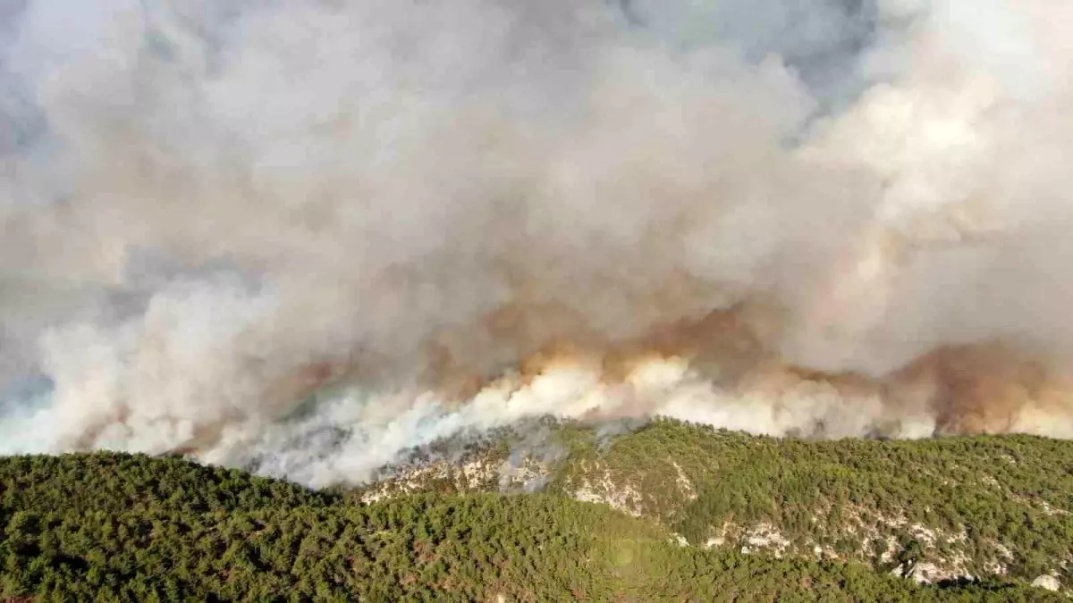 Kastamonu-Karabük Sınırında Orman Yangını: 2 Bin 736 Hektar Zarar Gördü