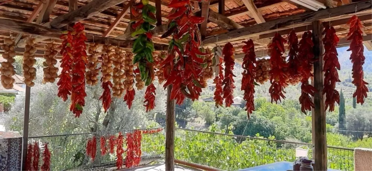 Muğla’da Kış Hazırlıkları: Kadınlar Biberleri Kurutuyor