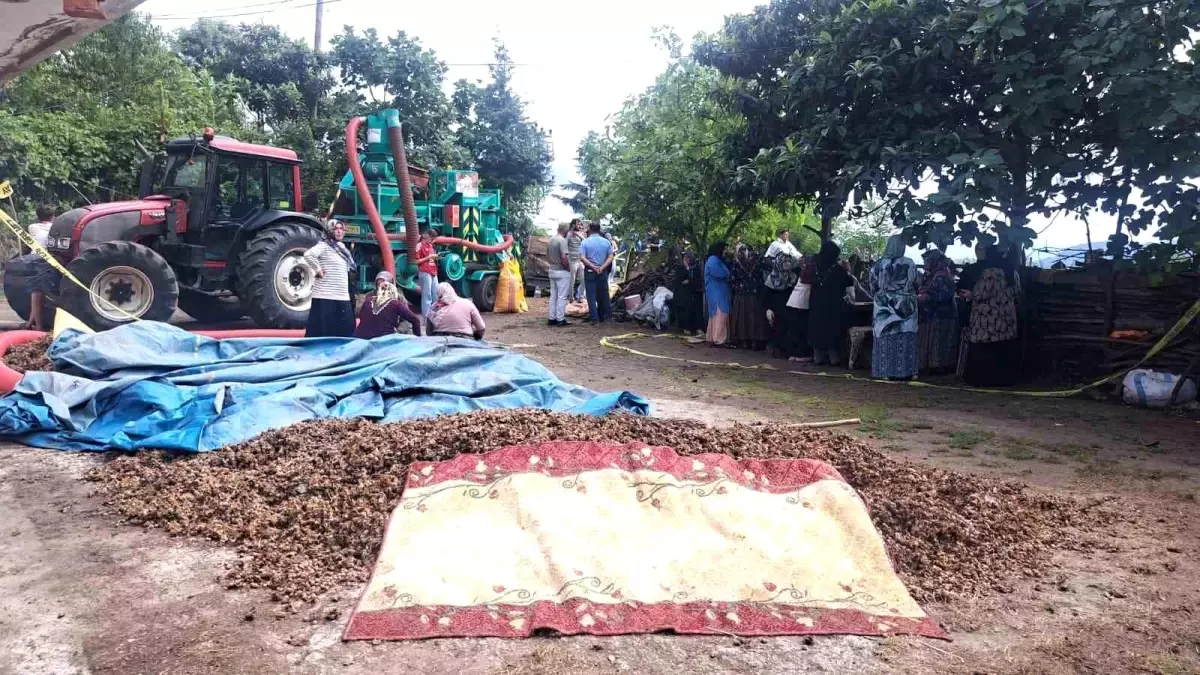 Ordu'da Silahlı Kavga: 2 Ölü