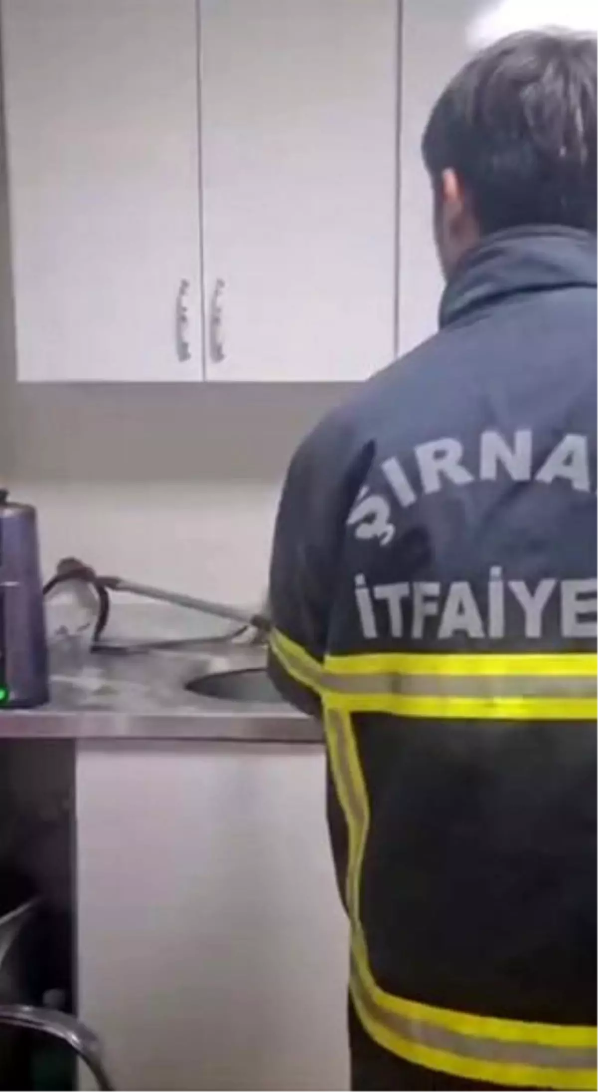 Şırnak'ta Yılan Panic Yarattı