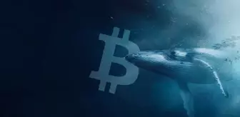 12 yıllık Bitcoin balinası piyasayı harekete geçirdi