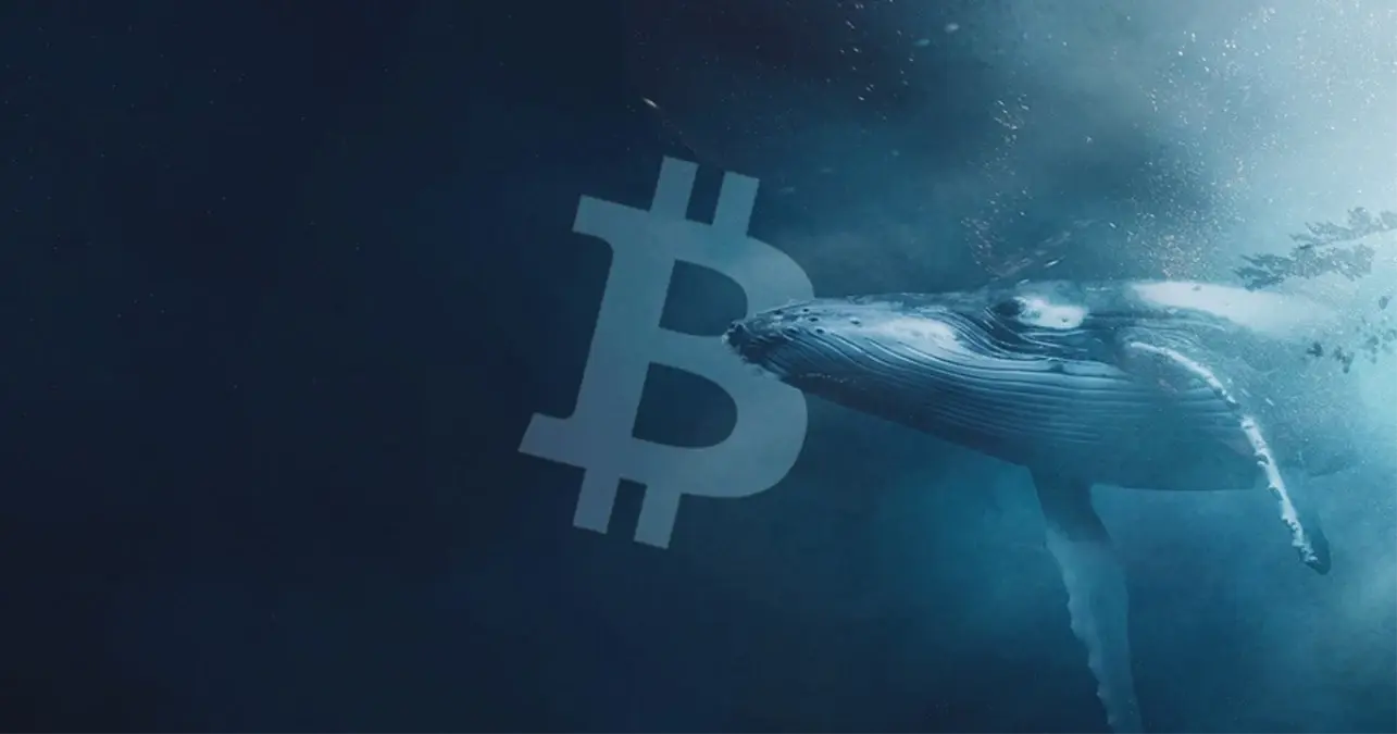 12 yıllık Bitcoin balinası piyasayı harekete geçirdi