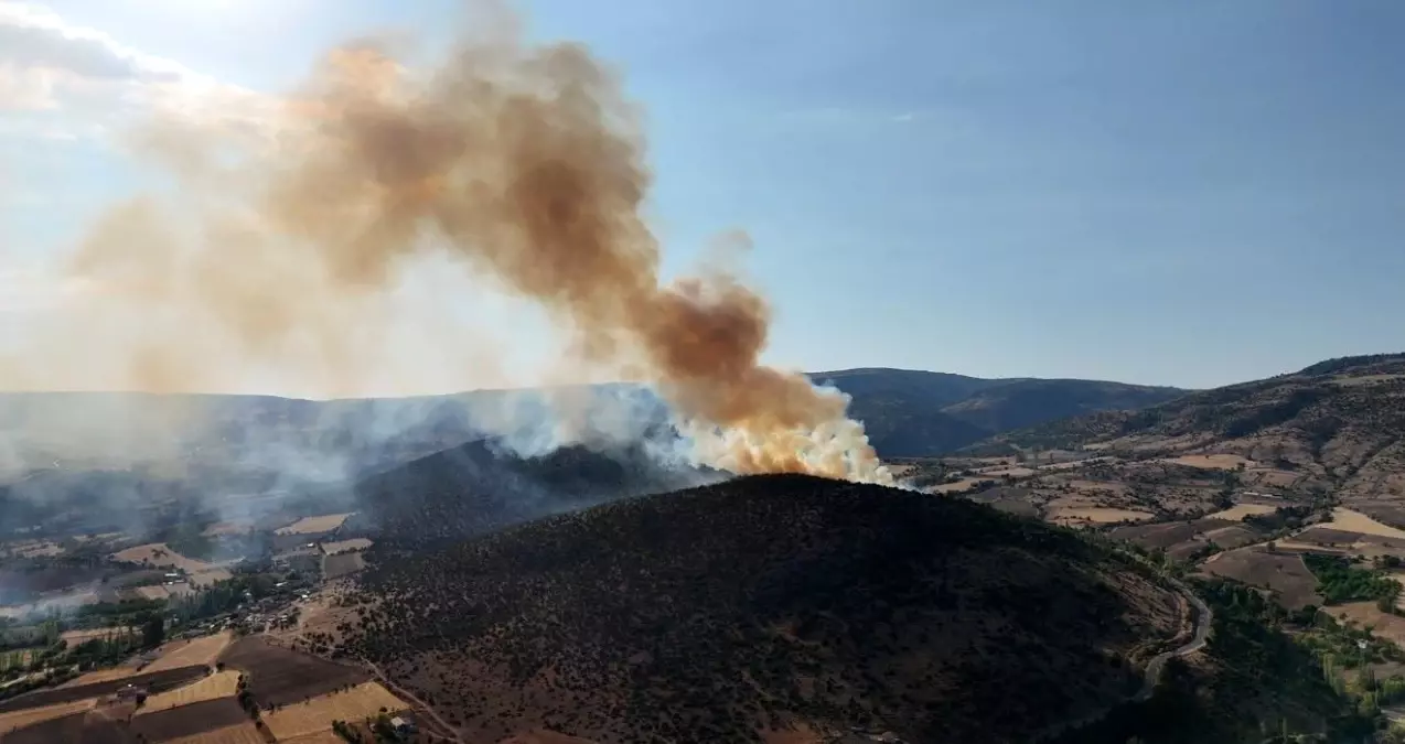 Tokat'ta Ağaçlık Alanda Yangın Çıktı