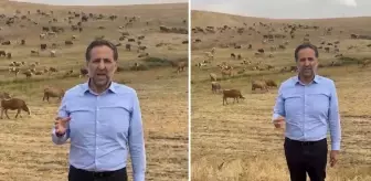 Arkasına hayvan sürüsünü alan vekil, Bakan Yumaklı'ya seslendi: Bu zararı karşılayın