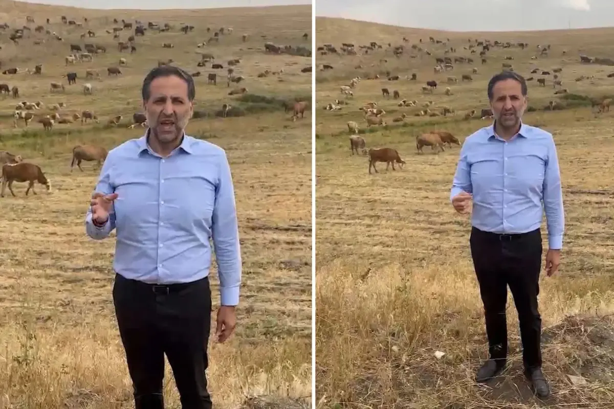 Arkasına hayvan sürüsünü alan vekil, Bakan Yumaklı'ya seslendi: Bu zararı karşılayın