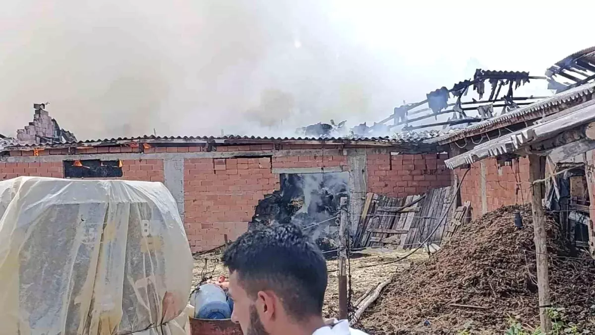 Bilecik'te Samanlıkta Yangın: Yaralanan Yok