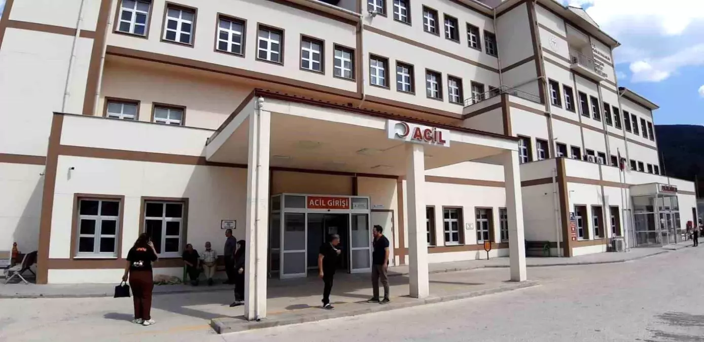Bolu'da Ayı Saldırısı: Doğa Koruma Müdürlüğü Avlanma Kararı Aldı