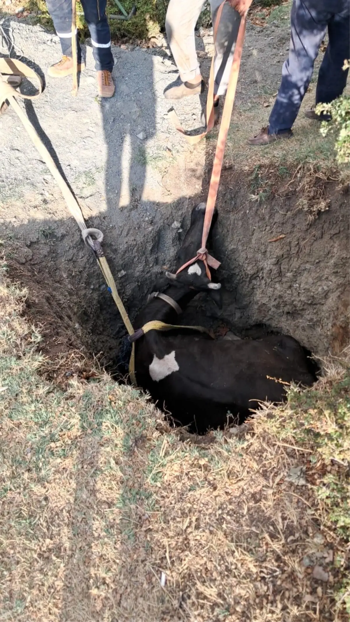 Burdur'da Kuyuya Düşen İnek 2 Saatlik Çalışmayla Kurtarıldı