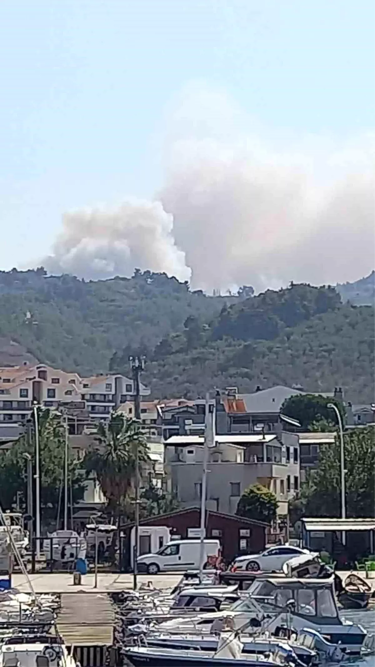 Bursa'da Gündoğdu Tepesi'nde Orman Yangını