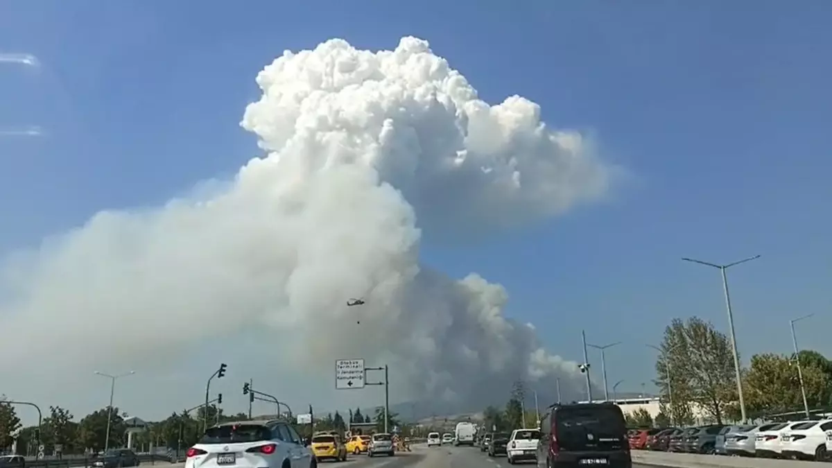Bursa'da Orman Yangını, Ekipler Müdahale Ediyor