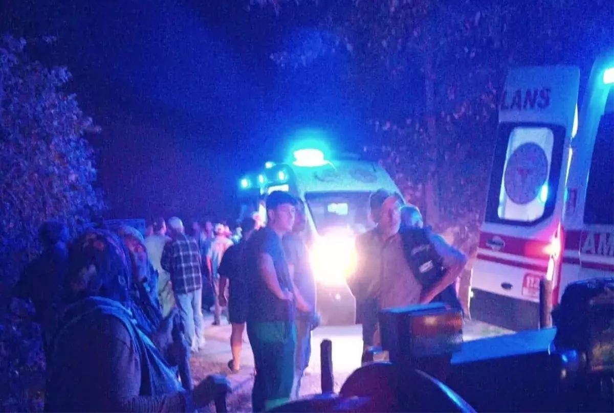 Düzce'de Fındık İşçilerini Taşıyan Patpat Devrildi: 10 Yaralı
