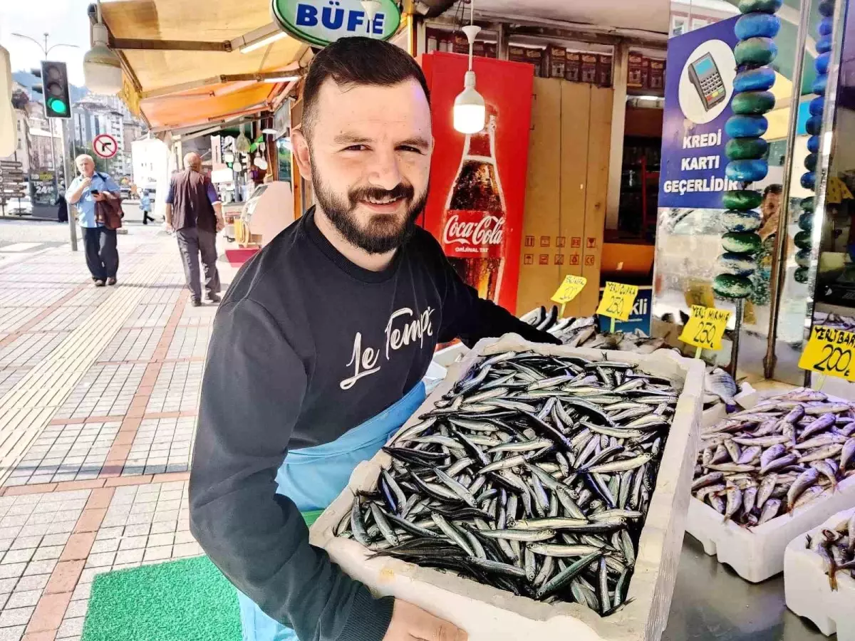 Rize'de Yerli Hamsinin Kilosu 200 TL