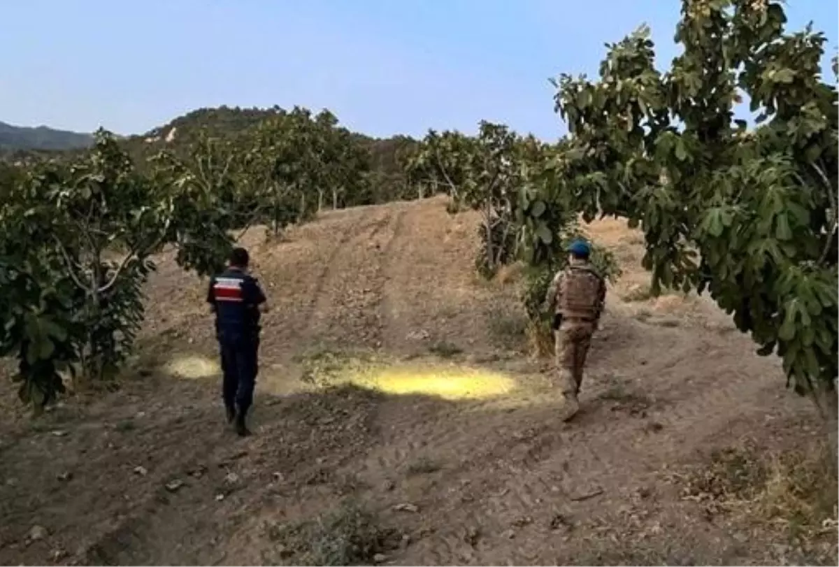 Aydın'da Jandarma Hırsızlıkla Mücadele İçin Devriye Faaliyetlerine Devam Ediyor
