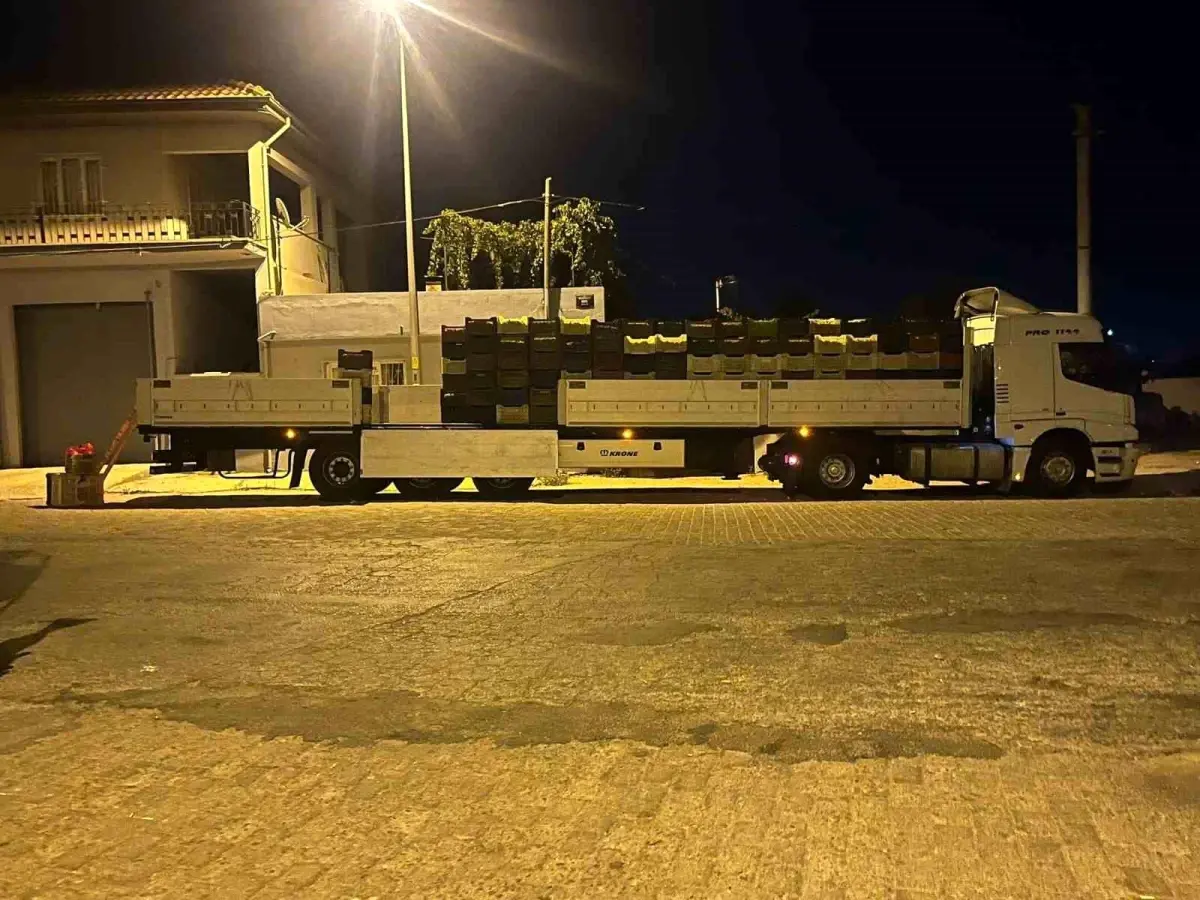 Aydın'da Bamya Sezonu Canlanıyor: Genç Girişimci Ekonomiye Katkıda Bulunuyor