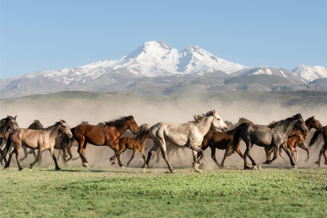 Kayseri ilk kez Kültür Yolu'nda! Açılışı Bakan Ersoy gerçekleştirdi