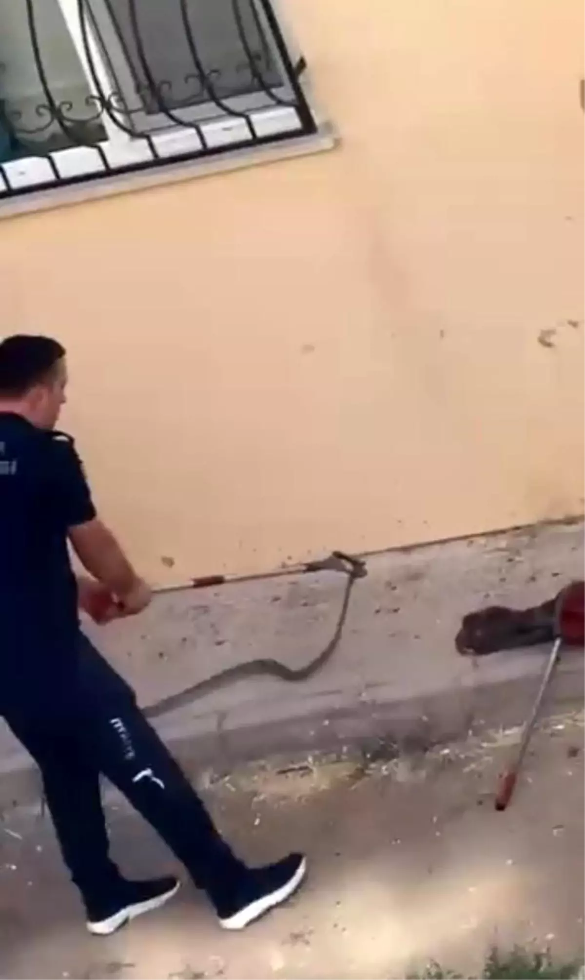 İnegöl'de Yılan Panik Yarattı