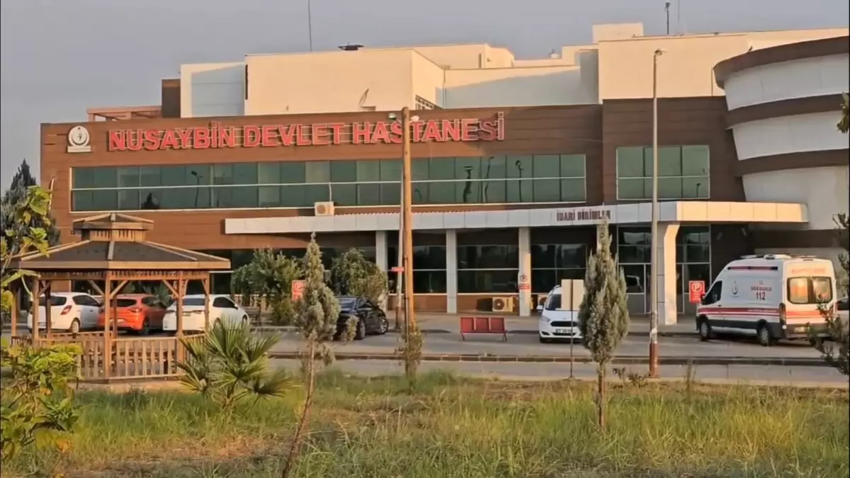 Nusaybin'de Silahlı Kavga: 2 Yaralı