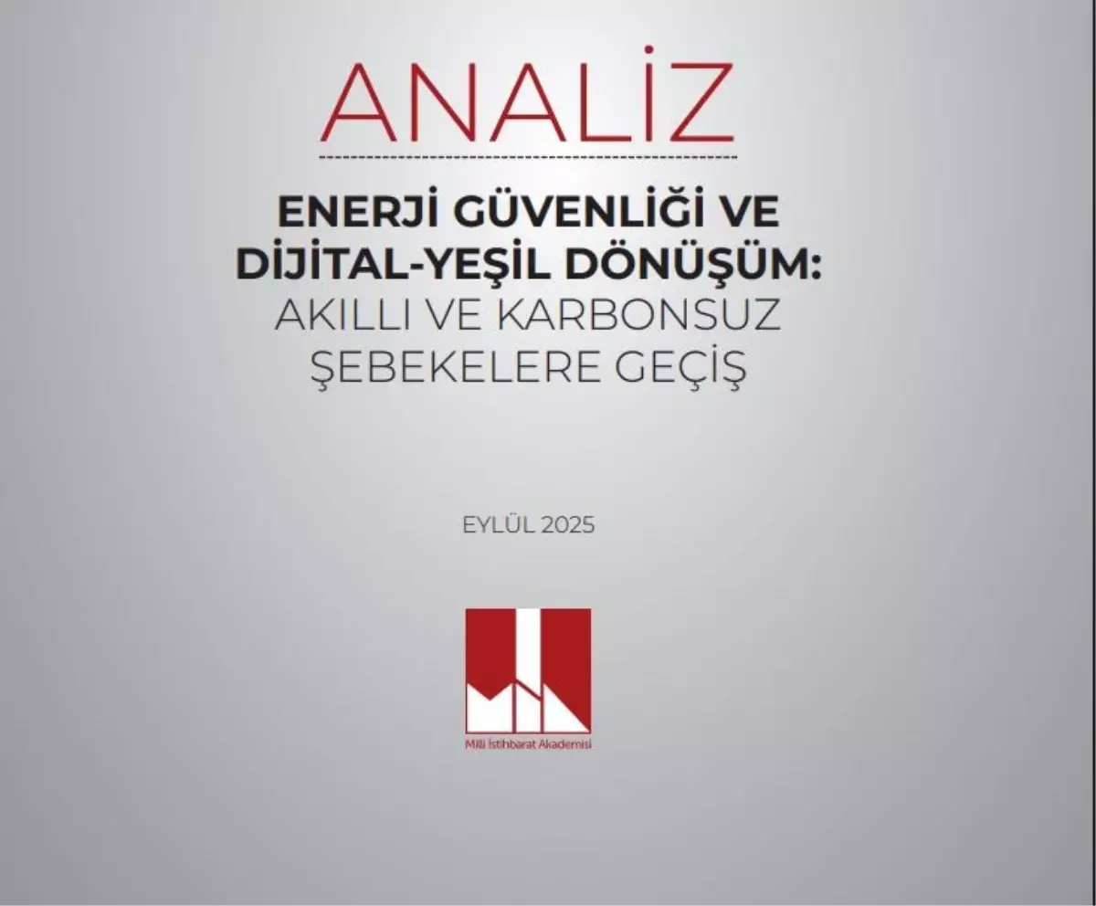 Milli İstihbarat Akademisi'nden enerji güvenliği analizi