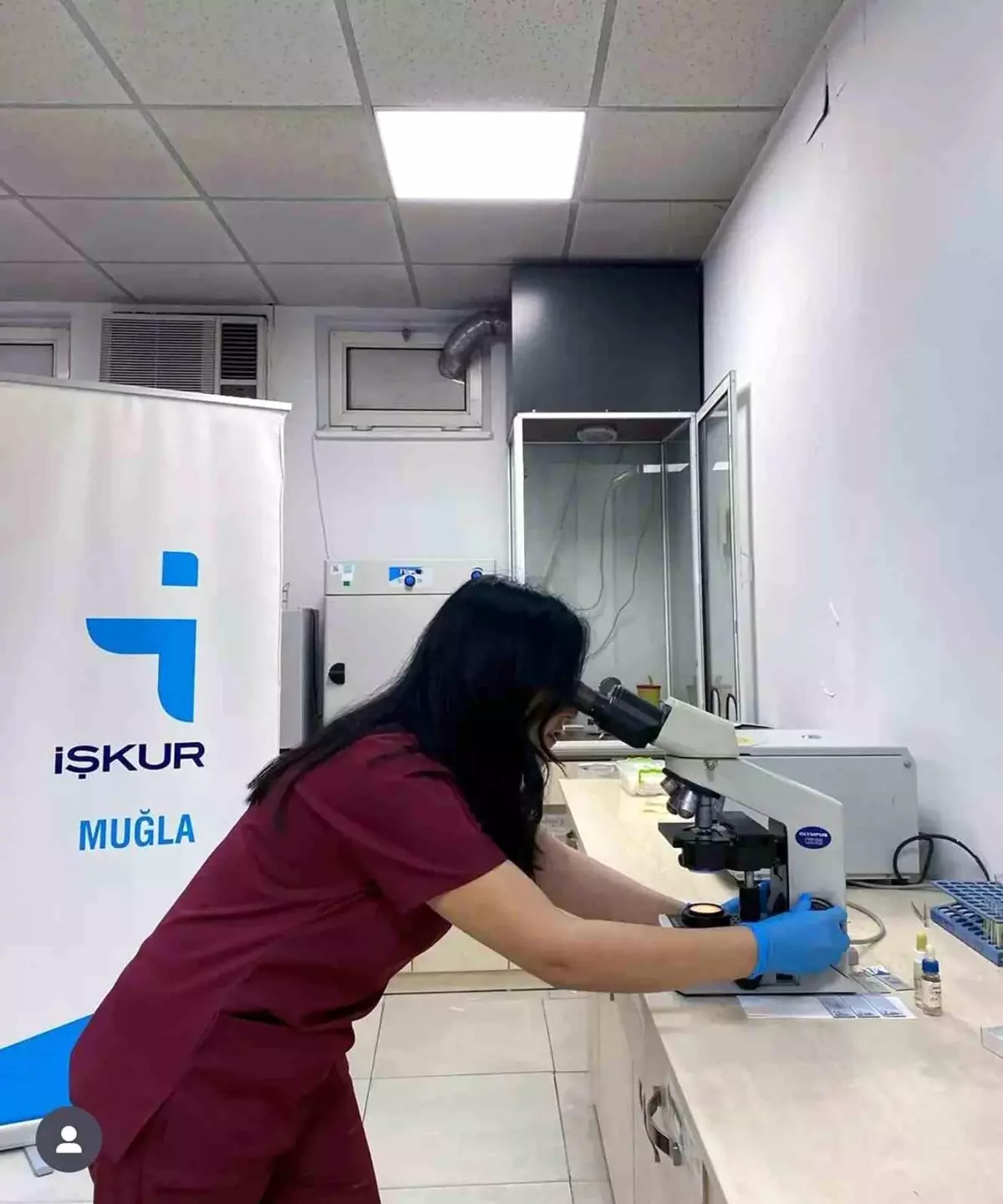 İŞKUR, 2025'te Kadın İstihdamında Önemli Artış Sağladı