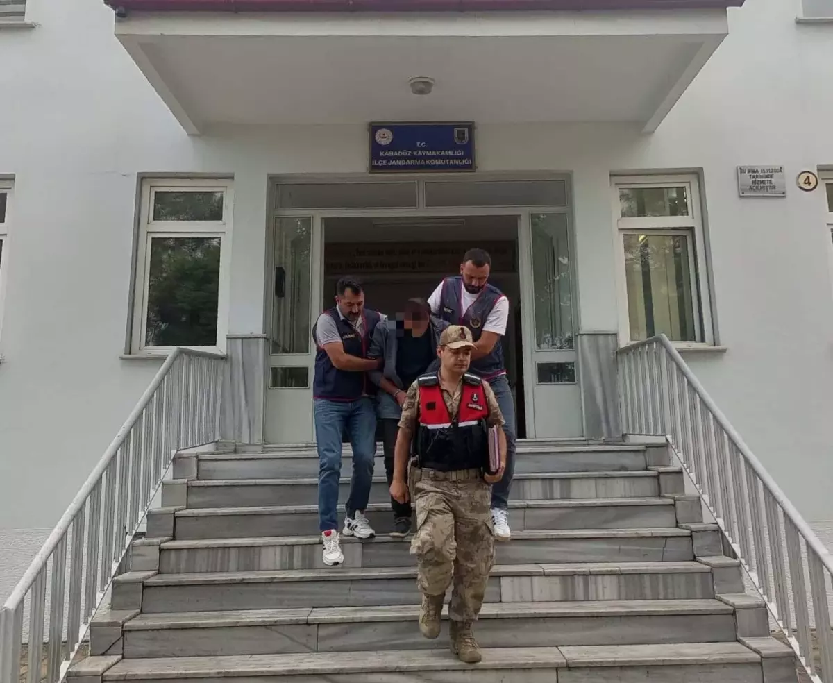 Fındık Hırsızlığı Zanlısı Tutuklandı