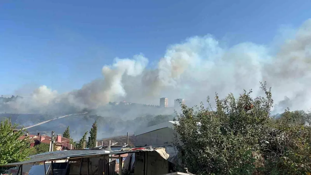 Tekirdağ'da Otluk Alanda Yangın: Fabrikalar ve Villa Tehdit Altında