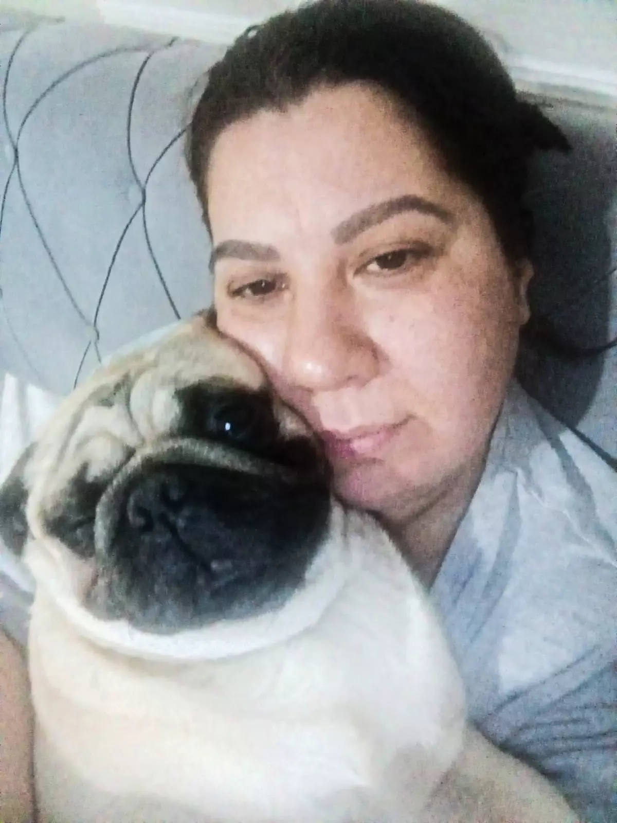 Yurt Dışına Çıkan Kadının Köpeği Pet Otelde Öldü, Suç Duyurusunda Bulundu