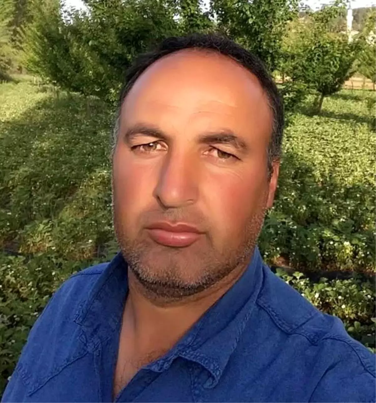 Traktörle Tarlaya Giderken Ağaca Çarparak Hayatını Kaybetti