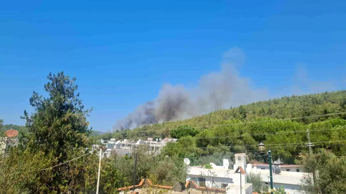 Bodrum'un Güvercinlik Mahallesi'nde Orman Yangını