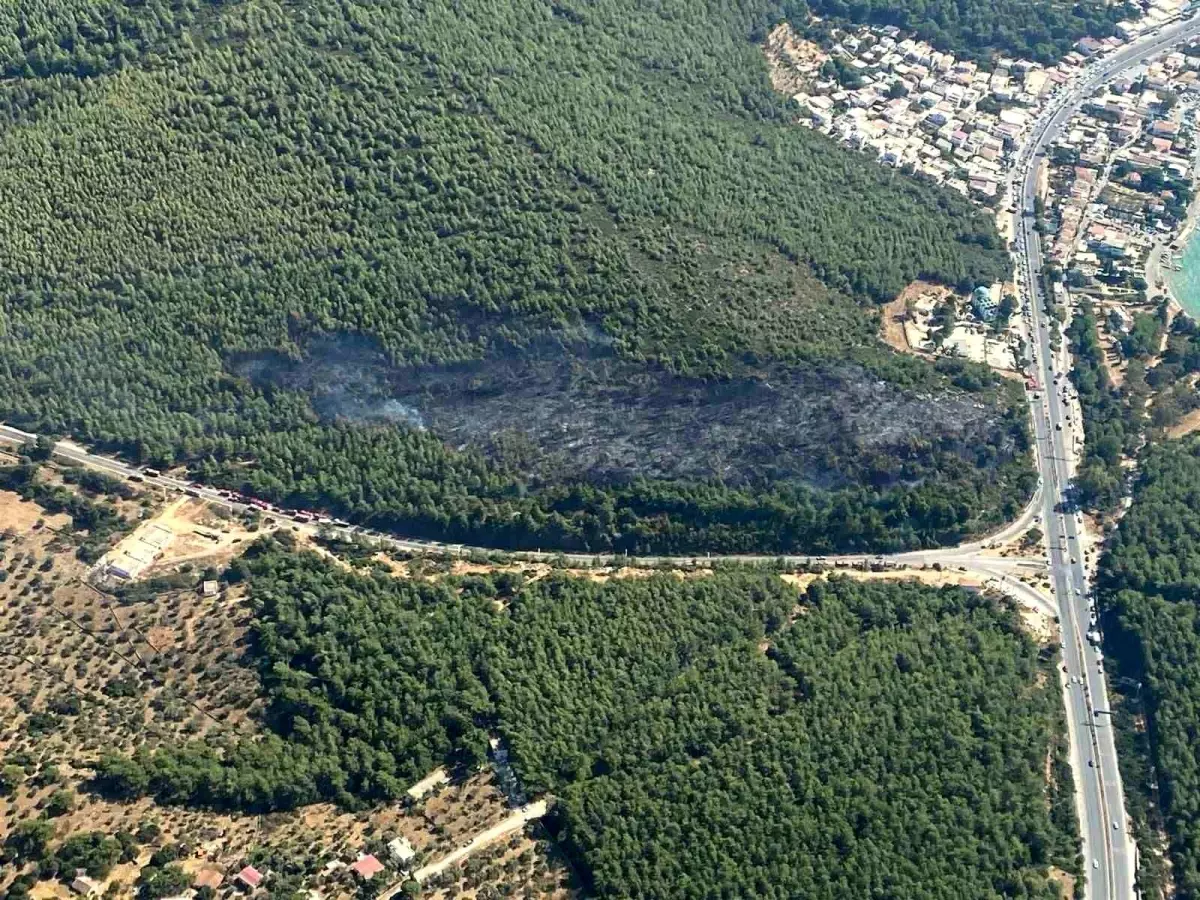 Bodrum'da Orman Yangını Kontrol Altına Alındı