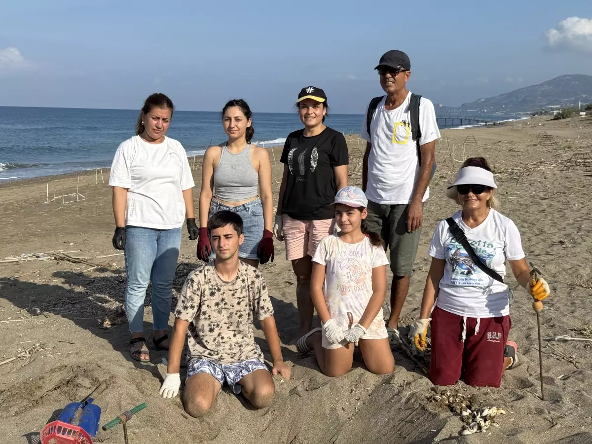 Caretta Caretta Yavruları Denize Kavuşuyor