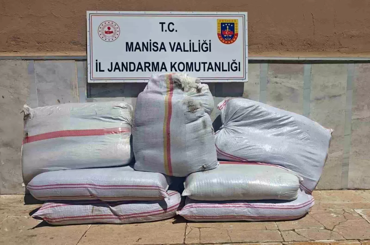 Manisa'da 350 Kilo Kaçak Tütün Ele Geçirildi