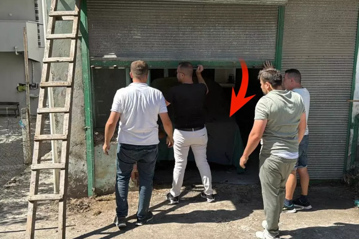 Yarım asırdır garajda saklıyordu: 725 bin liraya sattı, görenler gözlerine inanamadı