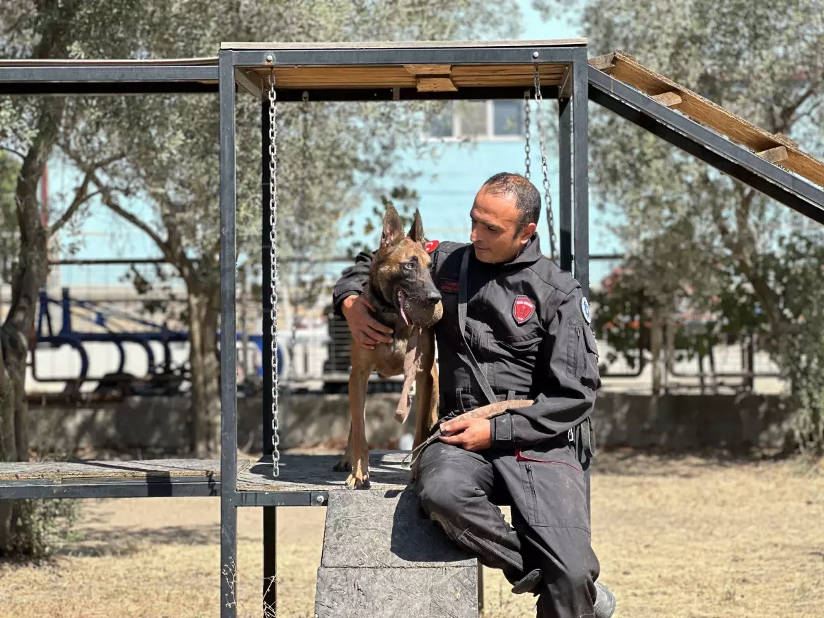 İznik'te Arama Köpekleri Afetlere Hazır Hale Geldi