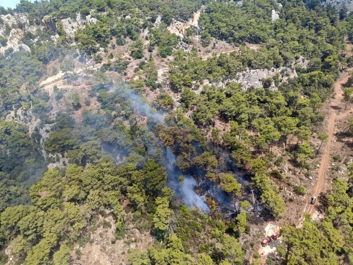 Antalya'da orman yangını (2)