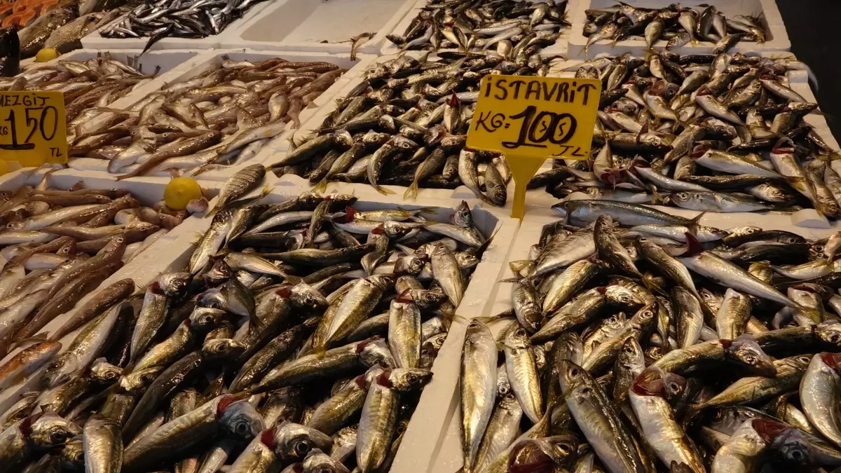 Karadeniz Av Sezonu Açıldı: İstavrit ve Mezgit Tezgahları Süslüyor