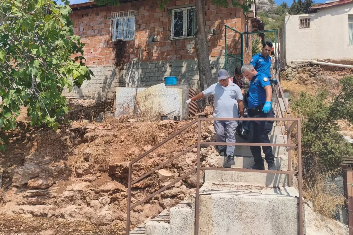 Gürültüyü 'mama kabı devrildi' zannettiler, acı gerçek sabah ortaya çıktı