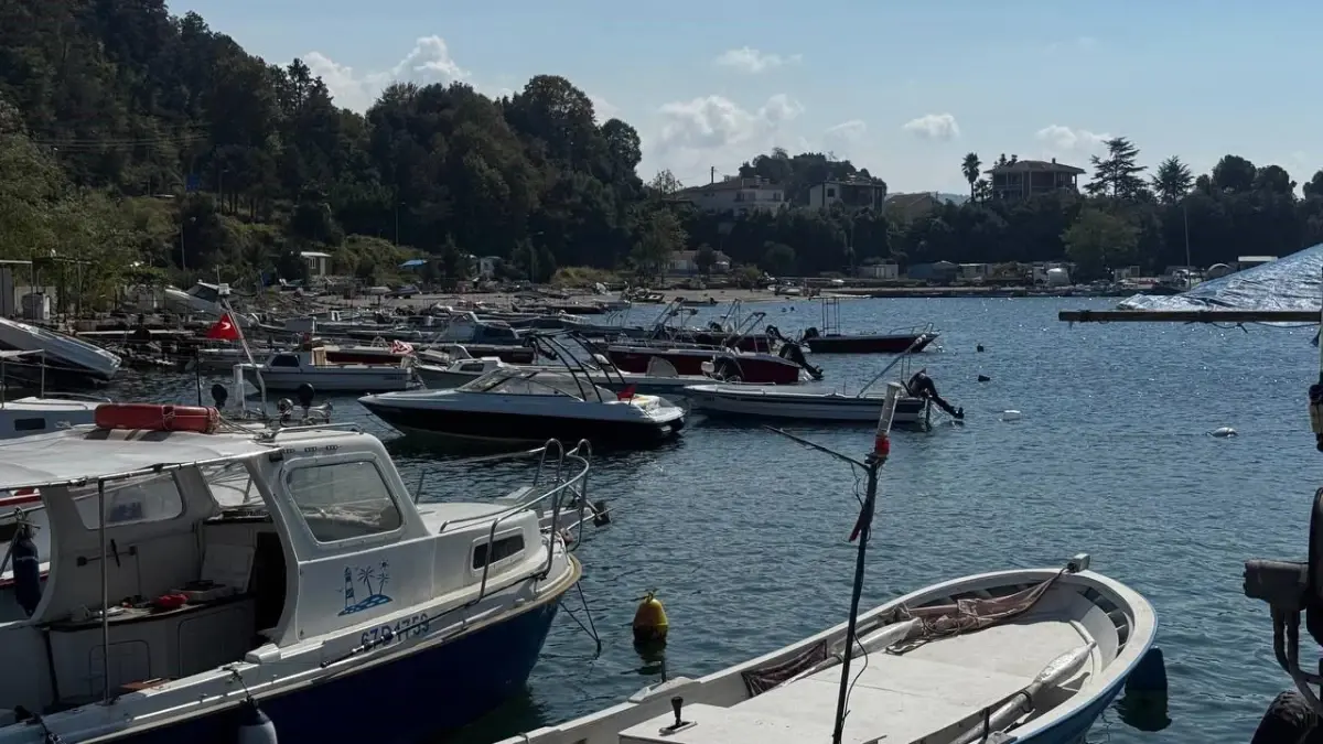Karadeniz'de Hamsi Umutları Artıyor