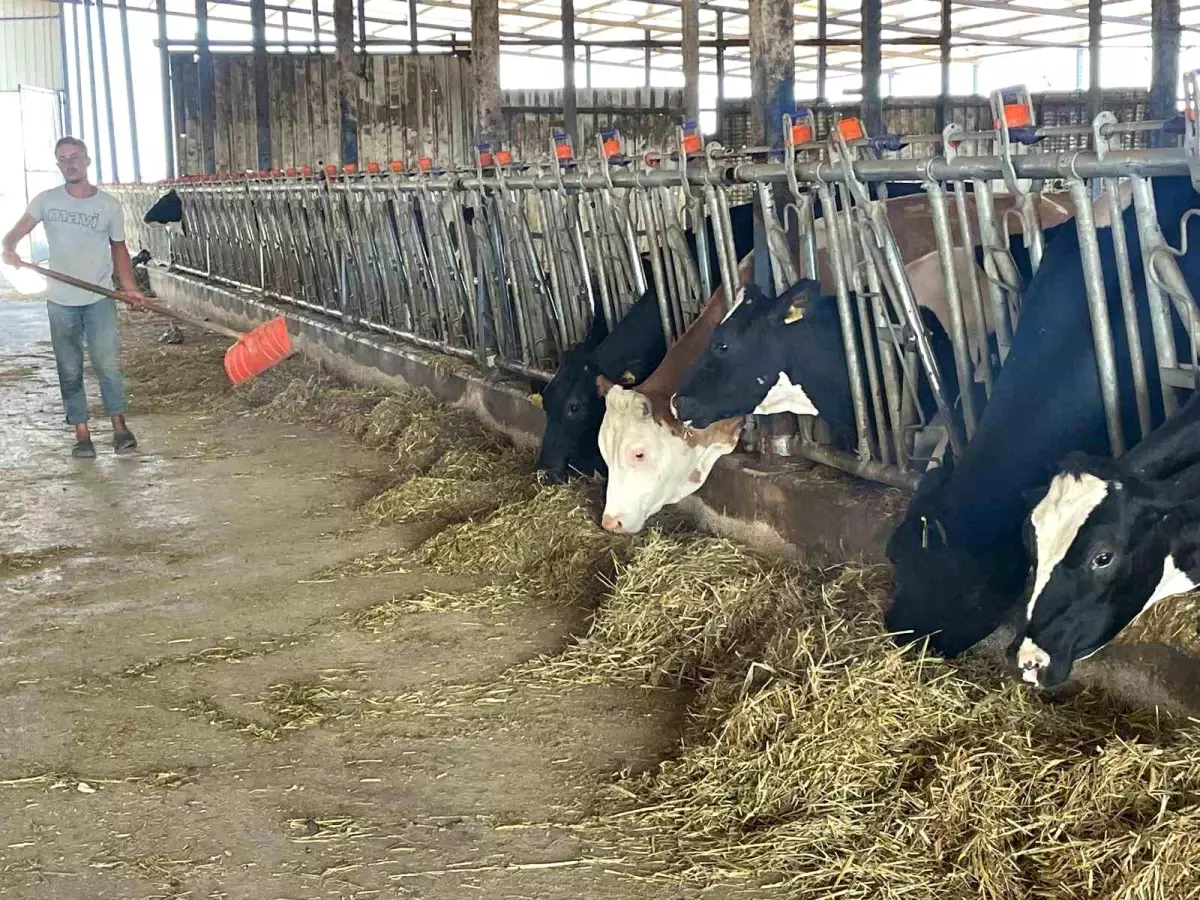 Bursalı Süt Üreticilerinden Rekabet Kurulu'na Destek