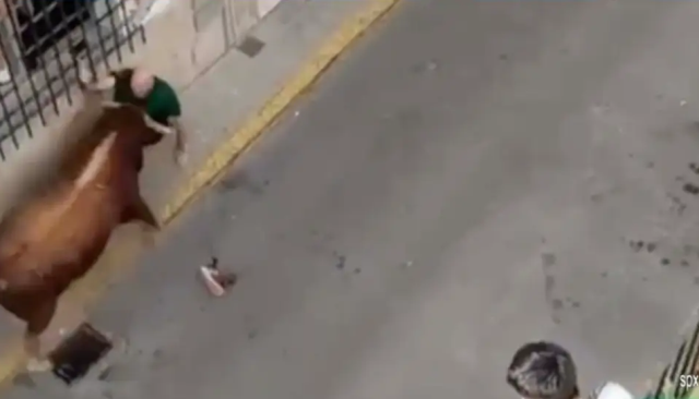 Boğa festivali facia: Boğa 57 yaşındaki adamı boynuzlayarak öldürdü